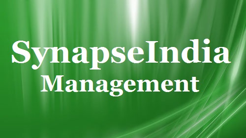 synapseindia management